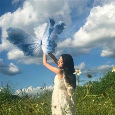 北冥有鲲在线观看封面